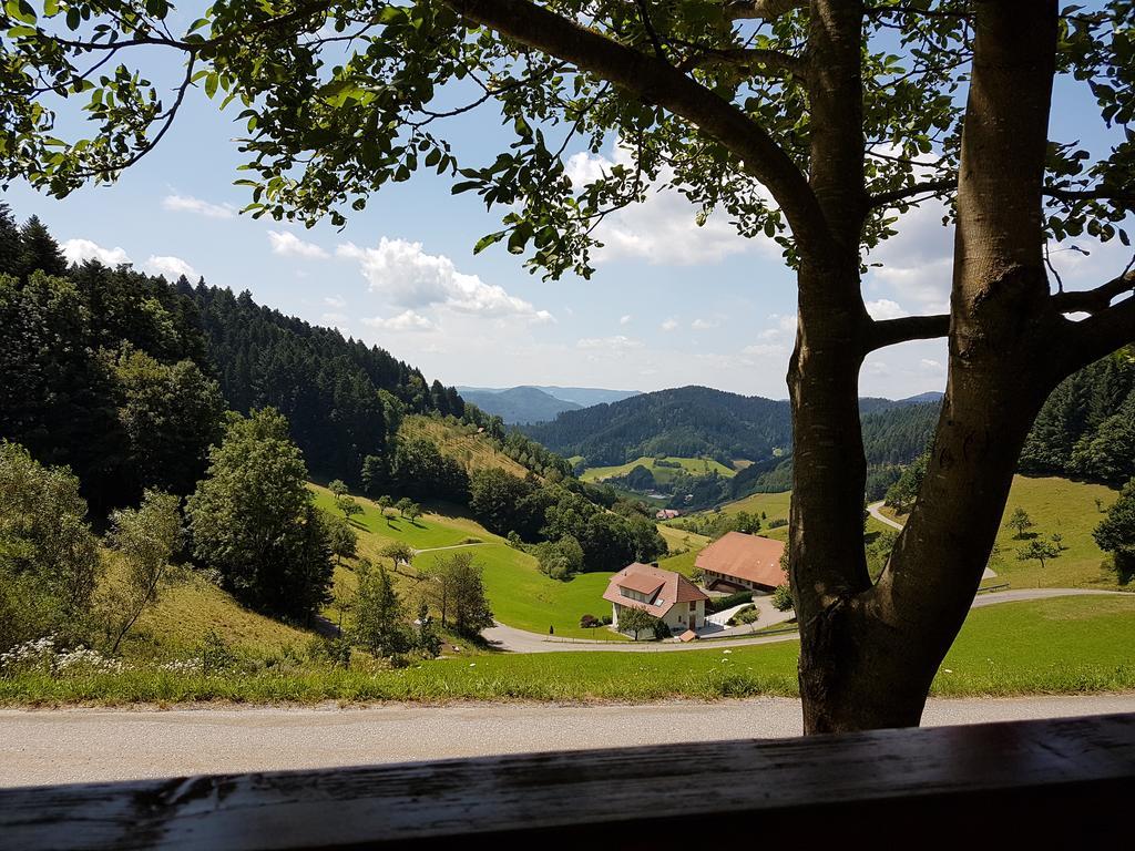 Hotel 3 Koenige Oberwolfach Bagian luar foto